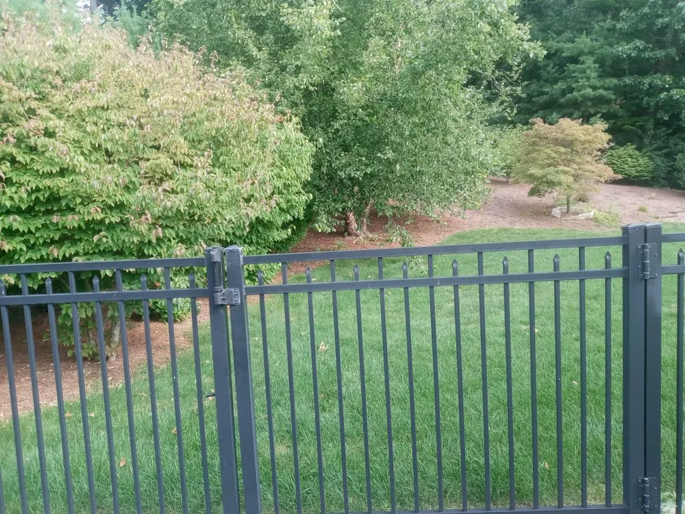 Top-rated yard maintenance experts serving Holyoke, MA - Topdog All Landscaping Services