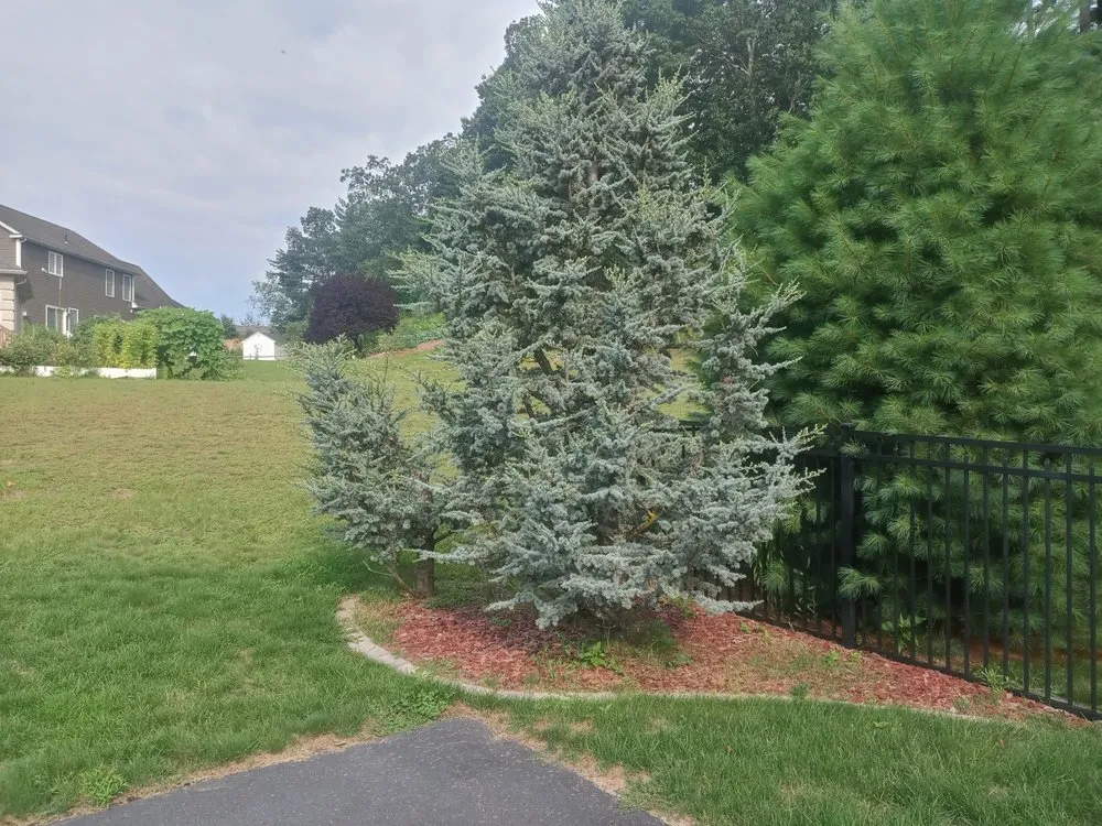 Affordable outdoor landscaping for outdoor upgrades in Holyoke, MA by Topdog All Landscaping Services