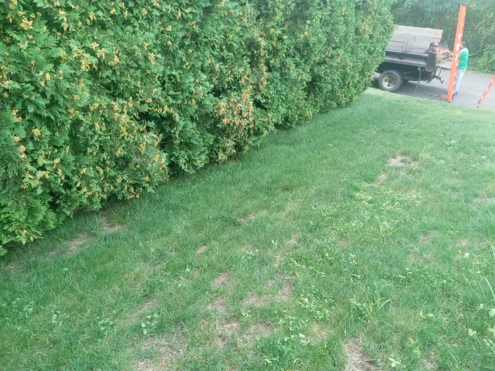 Custom landscaping services for outdoor upgrades in Holyoke, MA by Topdog All Landscaping Services