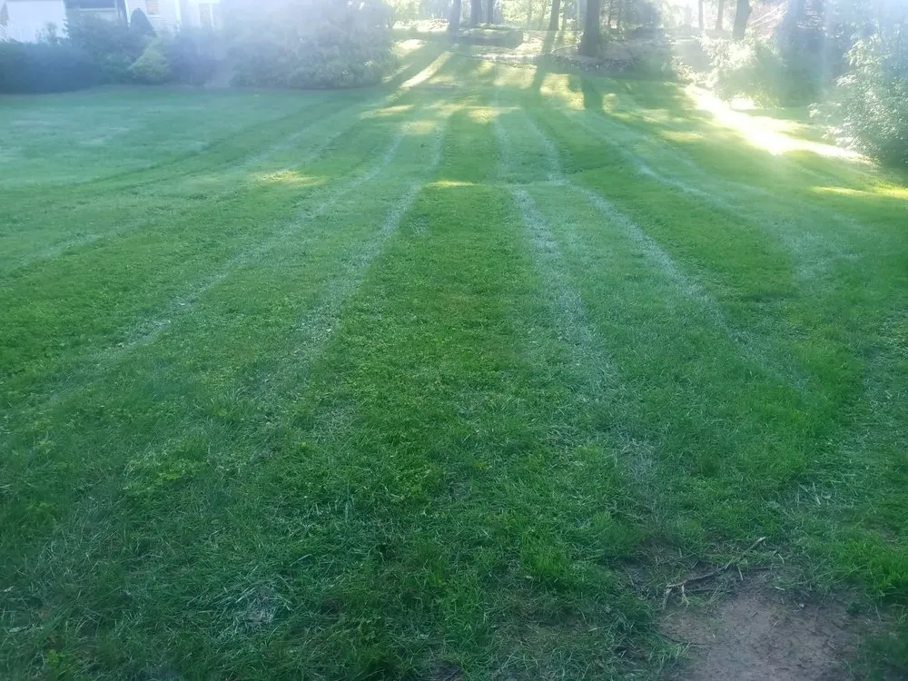 Affordable landscape installation experts serving Holyoke, MA - Topdog All Landscaping Services