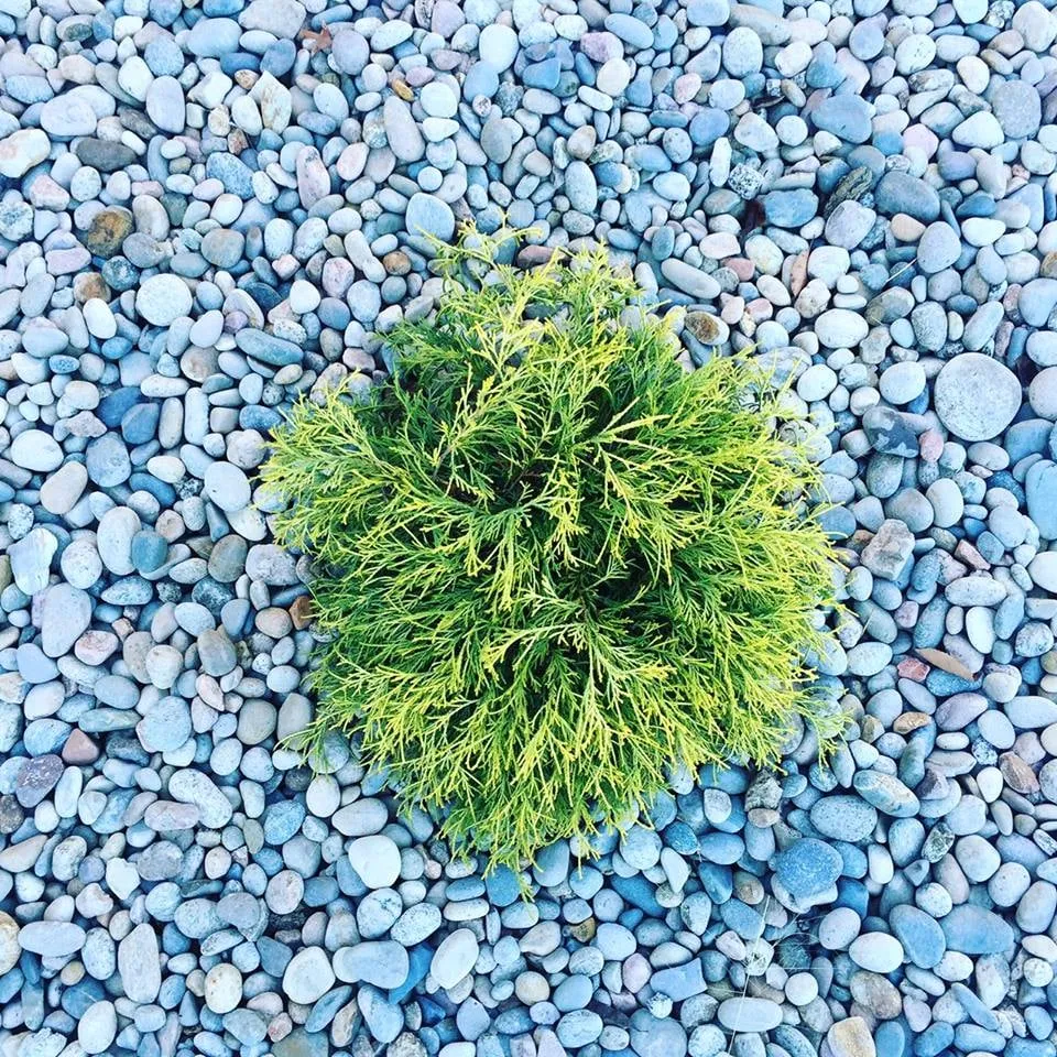 Affordable lawn mowing service in Topeka, KS by Topeka Landscape