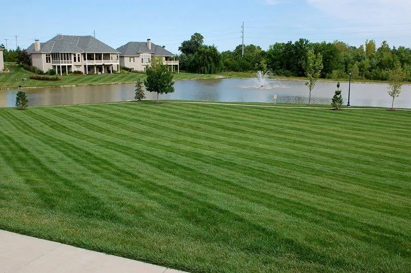 Top-rated yard cleanup service with custom design in Topeka, KS by Topeka Landscape