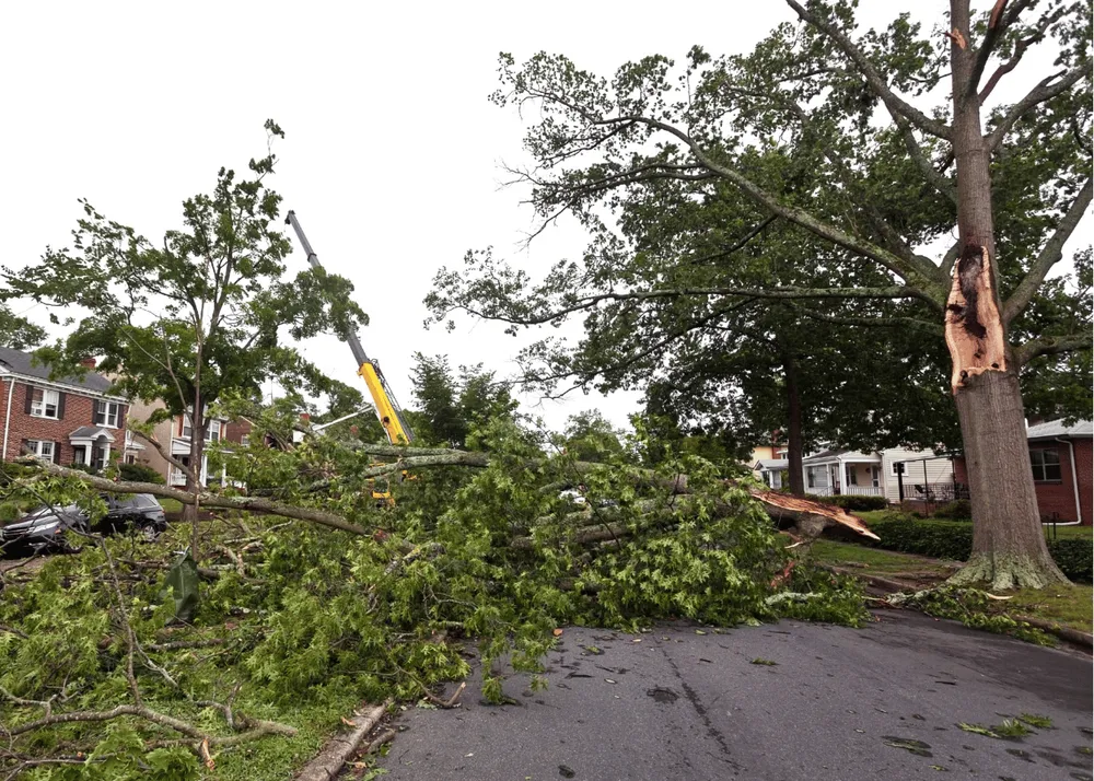 Expert residential landscaping for homes in Topeka, KS by Topeka Tree Service