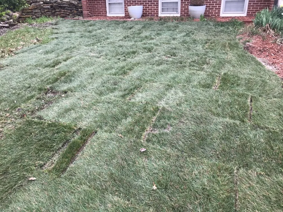 Local landscape design in Topeka, KS by Topeka's Affordable Lawn Care