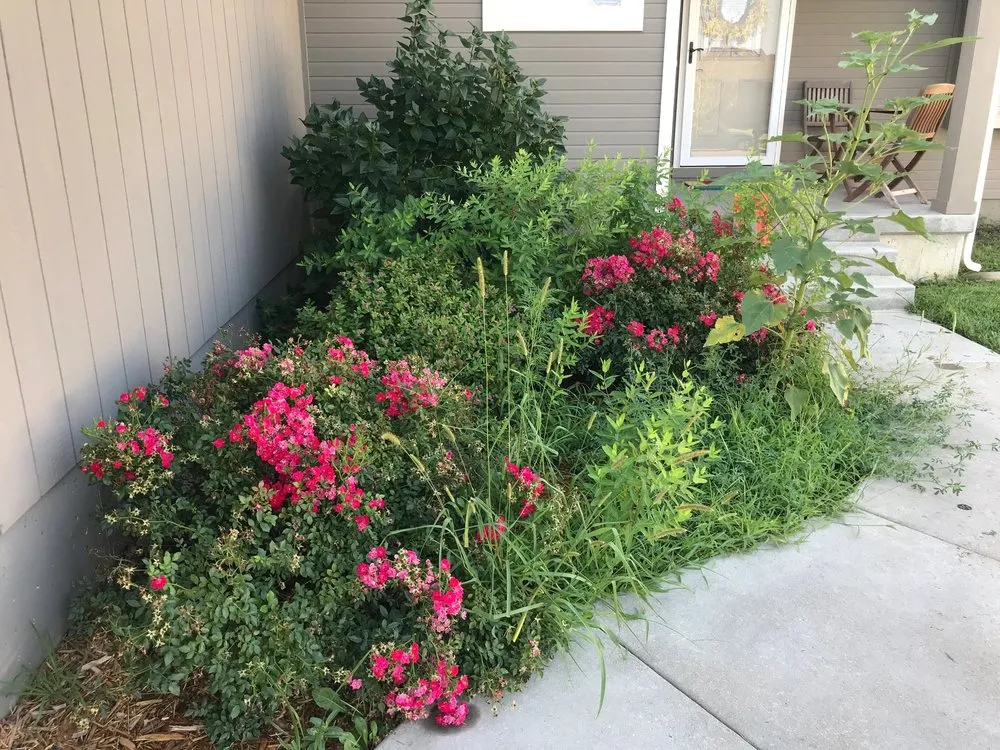 Top-rated yard cleanup service for beautiful yards in Topeka, KS by Topeka's Affordable Lawn Care