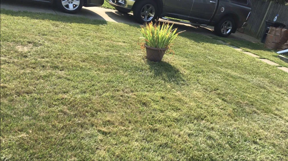 Trusted lawn care service in Capitol Heights, MD - TopFlight Dmv Landscaping