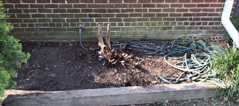 Trusted yard maintenance for beautiful yards in Capitol Heights, MD by TopFlight Dmv Landscaping