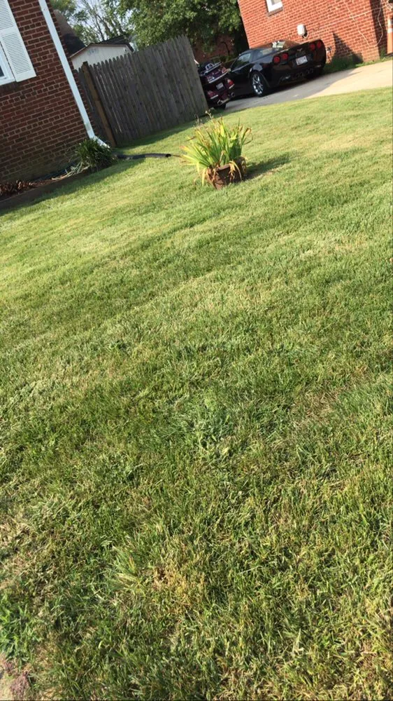 Professional landscaping services in Capitol Heights, MD - TopFlight Dmv Landscaping