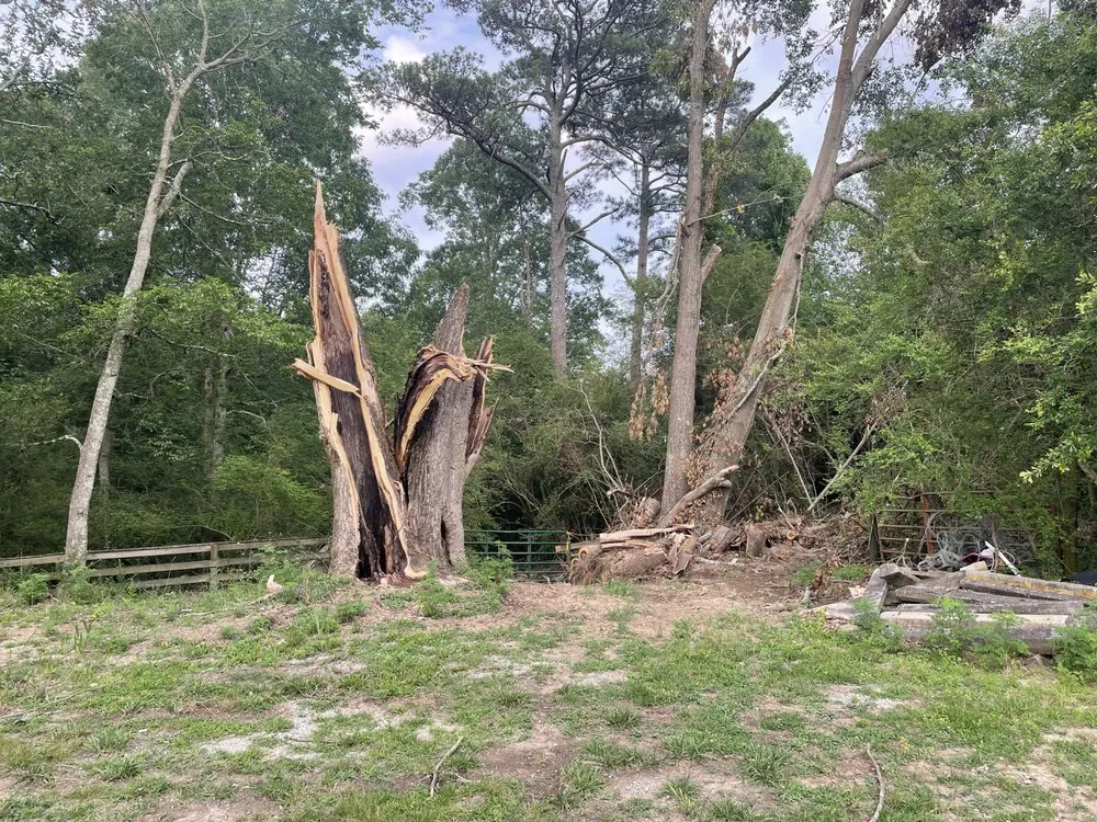 Affordable outdoor landscaping in Huntsville, AL by TopGrade Excavation