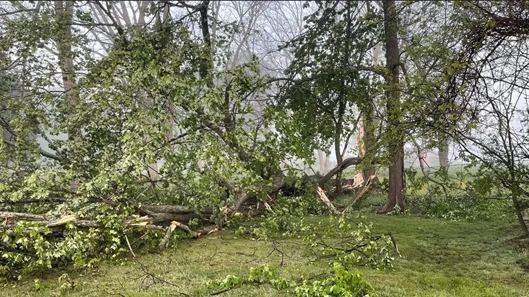 Affordable landscape installation in Huntsville, AL - TopGrade Excavation