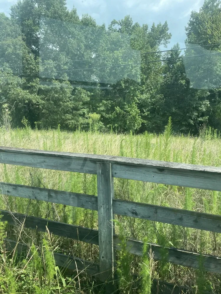 Affordable landscape design experts serving Huntsville, AL - TopGrade Excavation