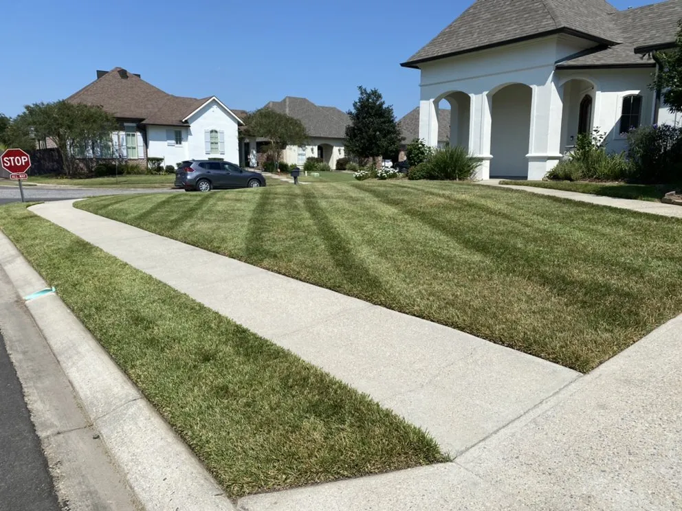 Professional lawn care service in Lafayette, LA by TopGrass