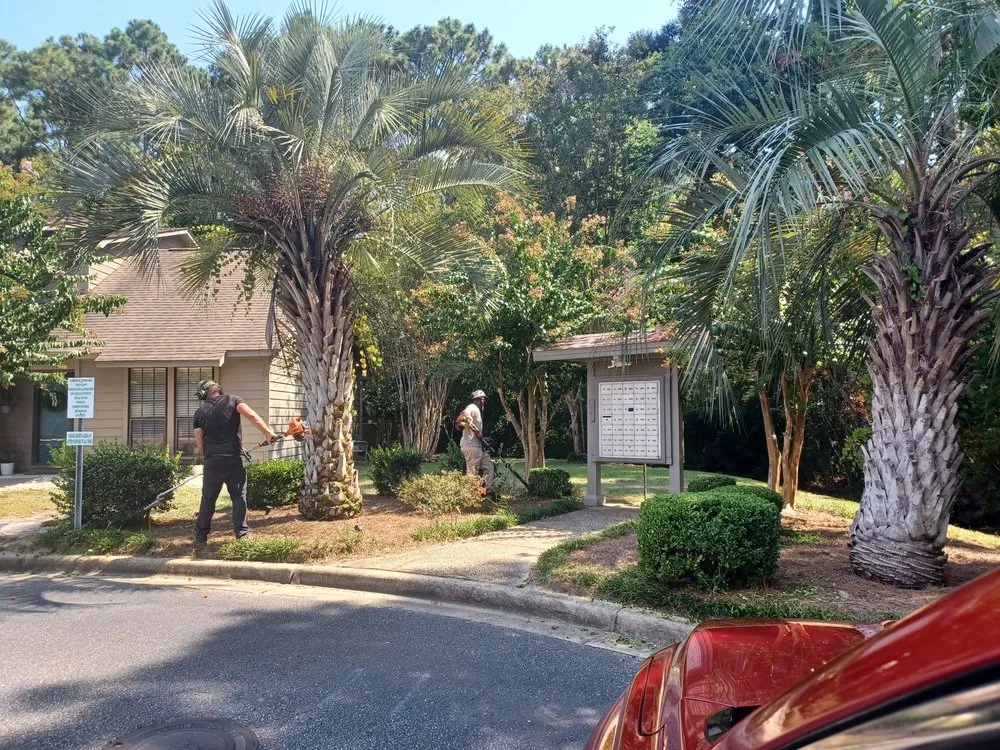 Local lawn care service near you across Gulf Shores, AL - TopHat Service