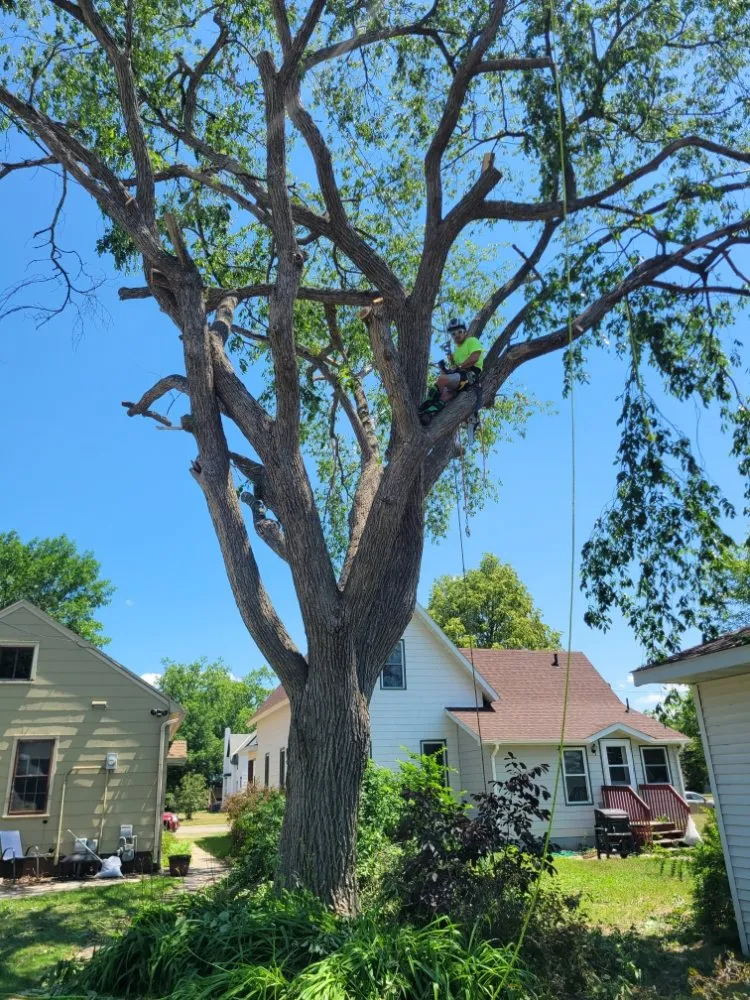 Expert lawn mowing service near you across Saint Cloud, MN - Topher's Tree Trimming