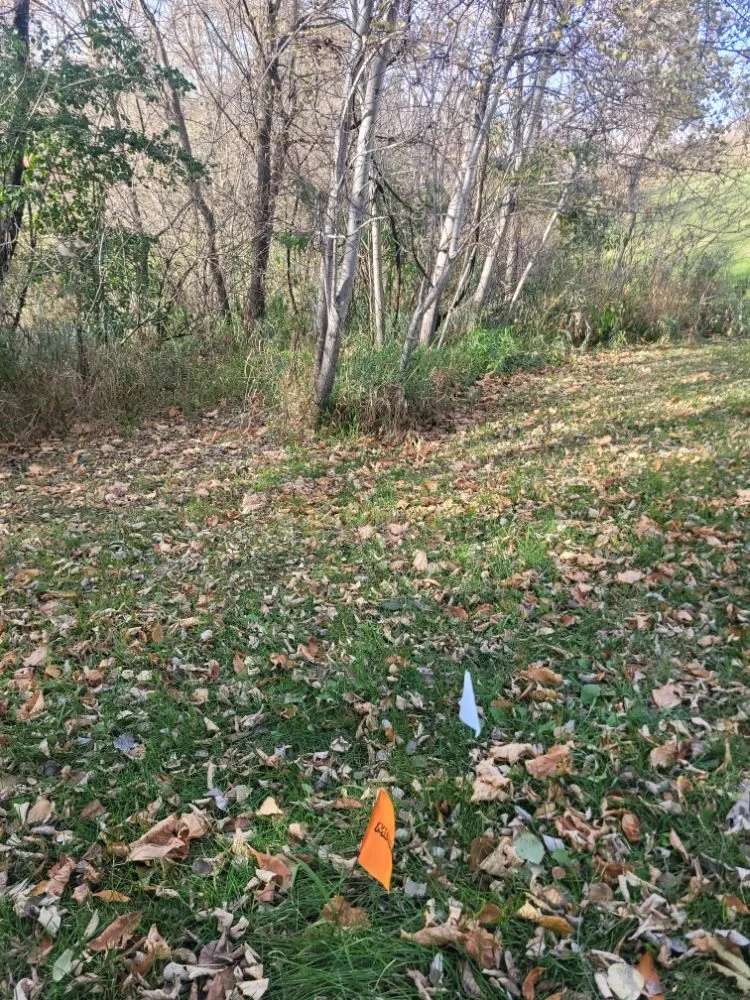 Expert landscape installation in Saint Cloud, MN - Topher's Tree Trimming