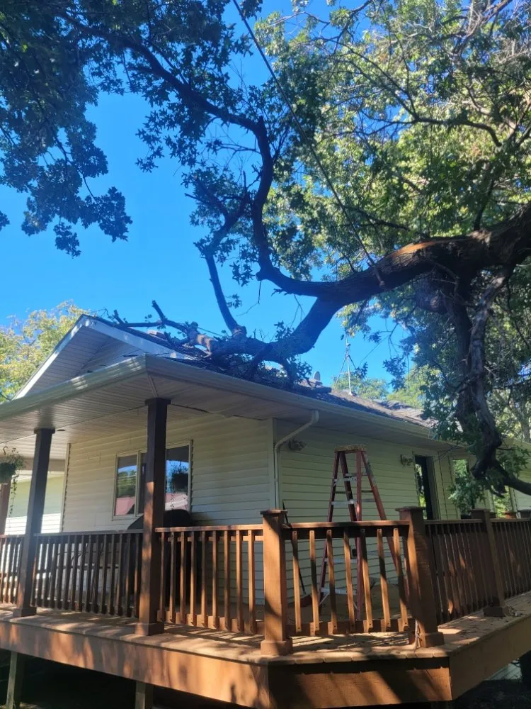 Affordable yard cleanup service in Saint Cloud, MN by Topher's Tree Trimming