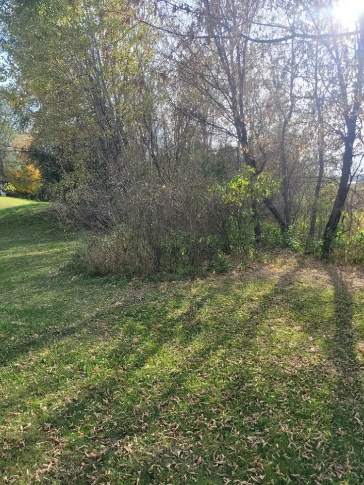 Expert yard maintenance for beautiful yards in Saint Cloud, MN by Topher's Tree Trimming