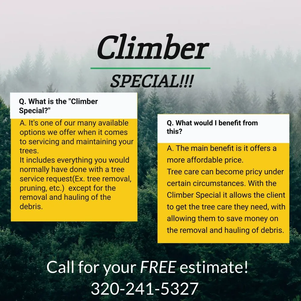 Affordable lawn care service with custom design in Saint Cloud, MN by Topher's Tree Trimming