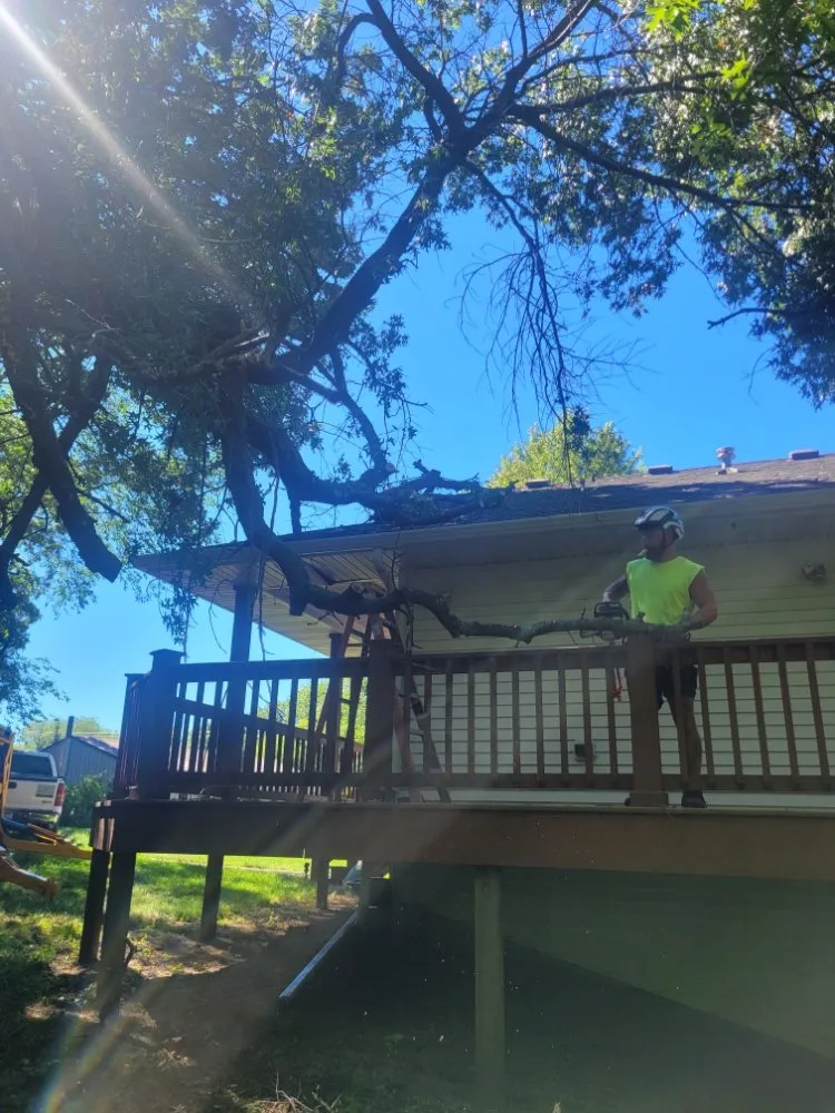 Professional outdoor landscaping experts serving Saint Cloud, MN - Topher's Tree Trimming