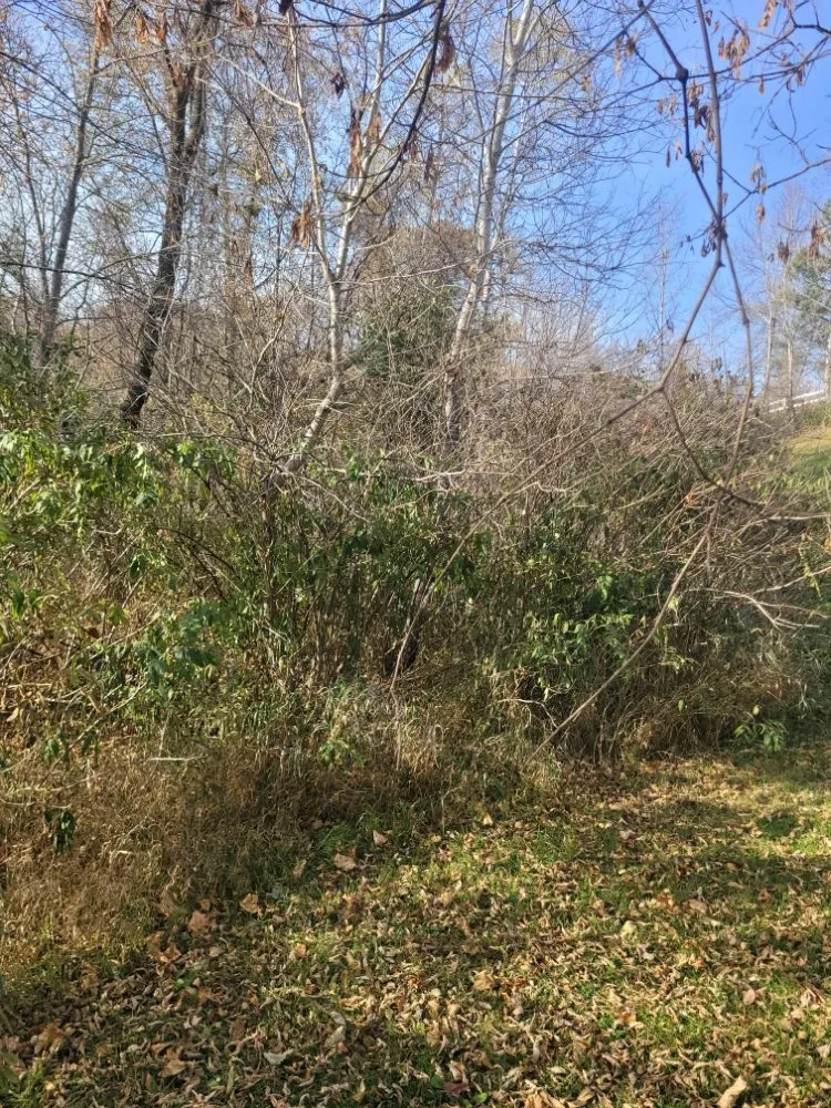 Professional outdoor landscaping in Saint Cloud, MN - Topher's Tree Trimming