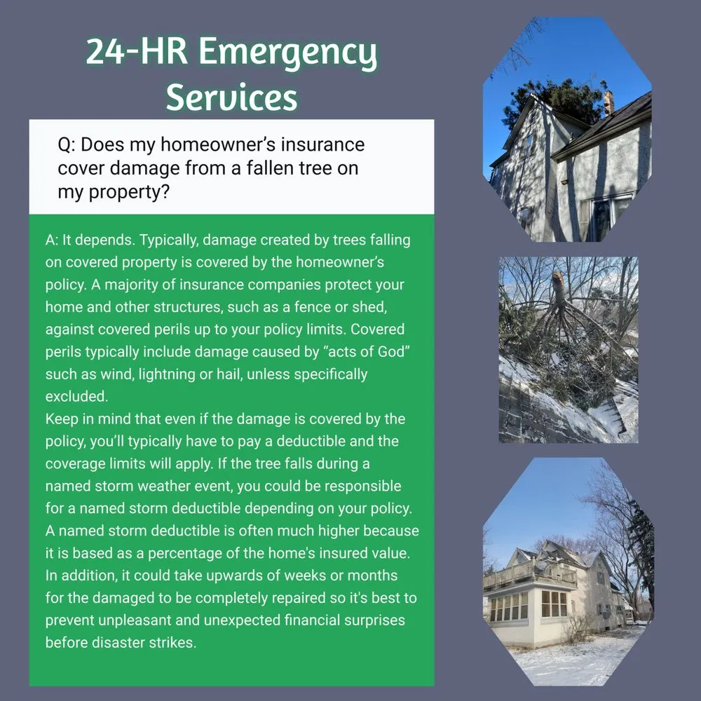 Professional lawn care service in Saint Cloud, MN by Topher's Tree Trimming