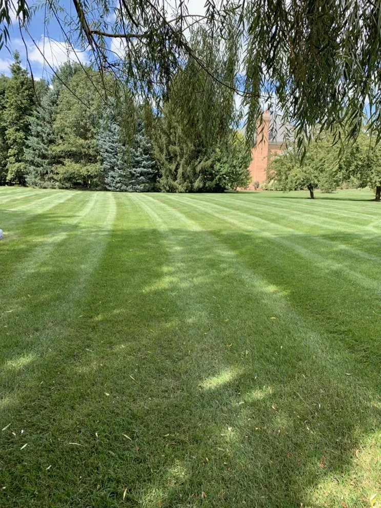 Affordable landscaping services in Spring Grove, IL - Topher's Turfs