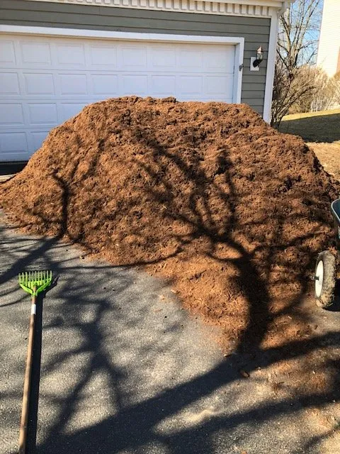 Professional yard cleanup service in Spring Grove, IL by Topher's Turfs