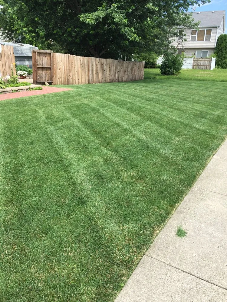 Expert residential landscaping in Spring Grove, IL - Topher's Turfs