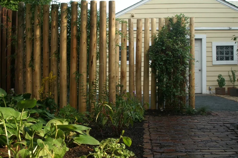 Professional lawn mowing service in Chicago, IL - Topiarius - Urban Garden & Floral Design