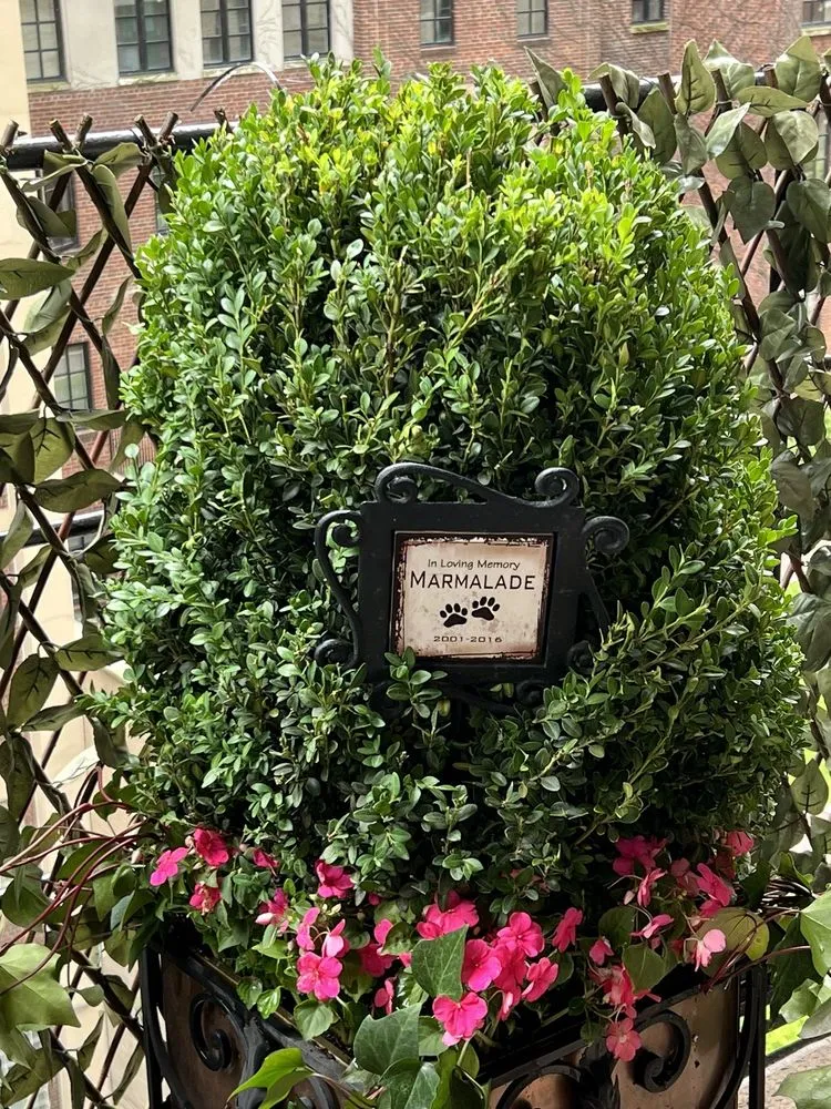 Trusted yard maintenance for year-round maintenance in Chicago, IL by Topiarius - Urban Garden & Floral Design