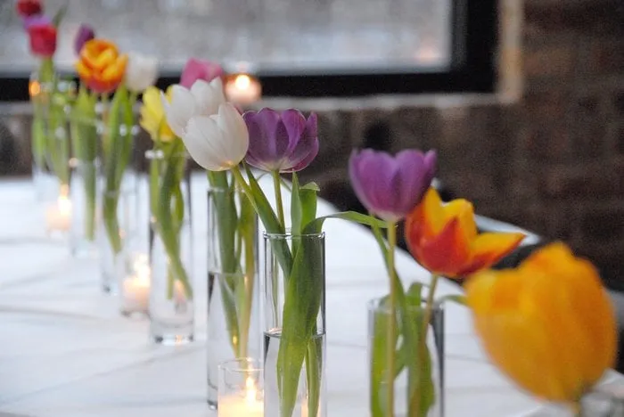 Professional residential landscaping near you in Chicago, IL by Topiarius - Urban Garden & Floral Design