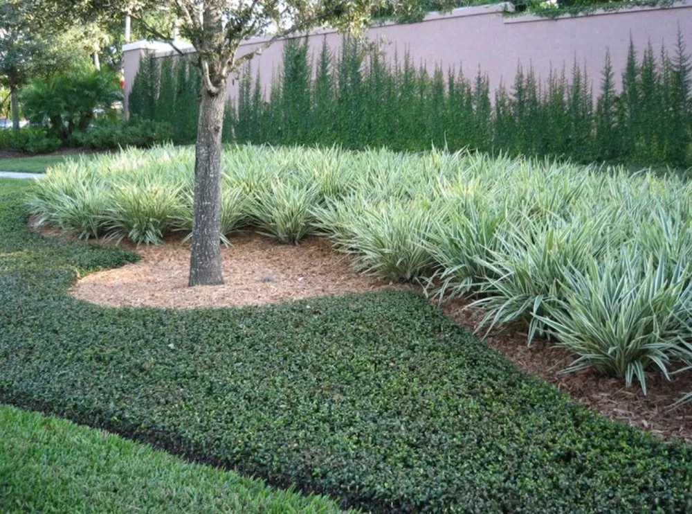 Professional lawn mowing service in Houston, TX - Topiary and Garden