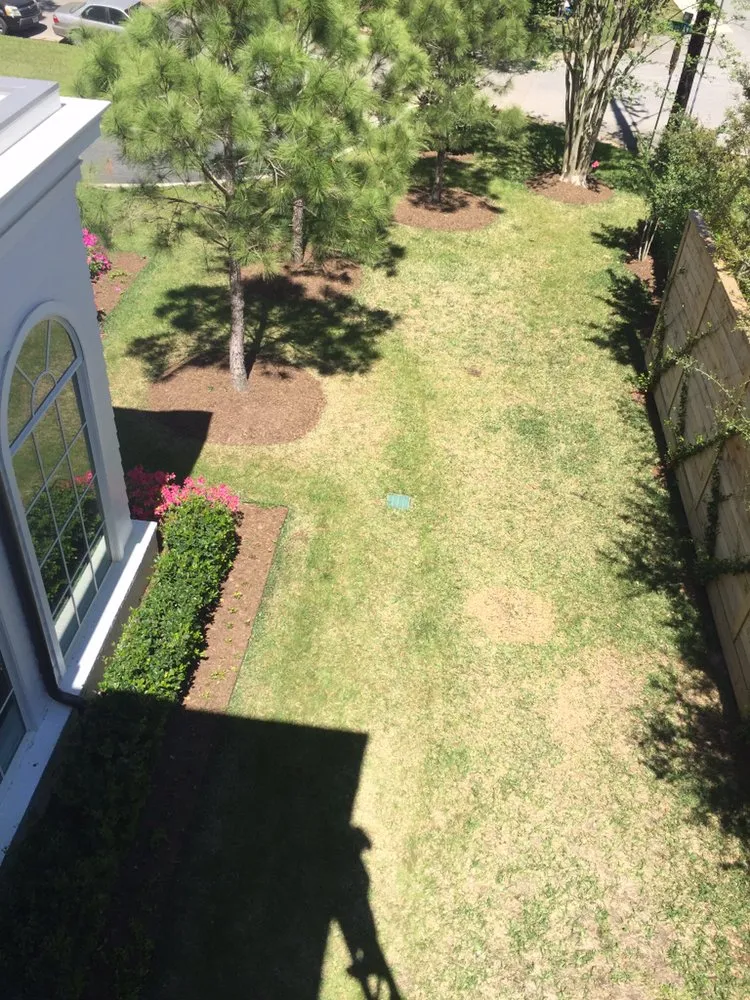 Custom garden landscaping for homes across Houston, TX - Topiary and Garden