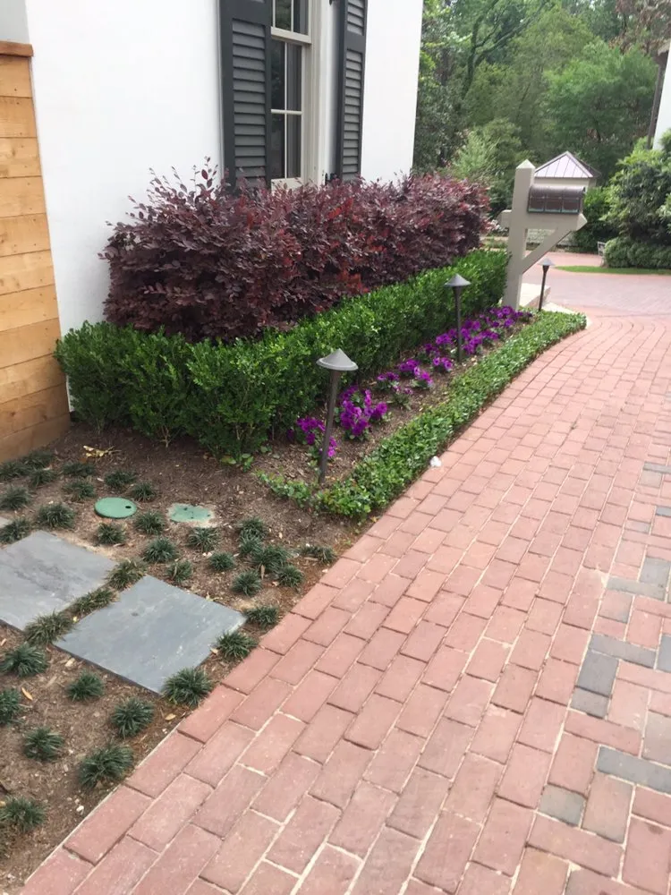 Professional lawn care service with custom design across Houston, TX - Topiary and Garden