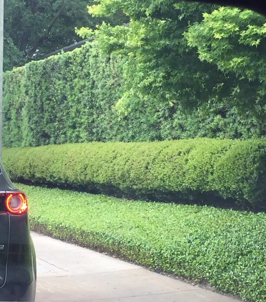 Professional outdoor landscaping for outdoor upgrades across Houston, TX - Topiary and Garden