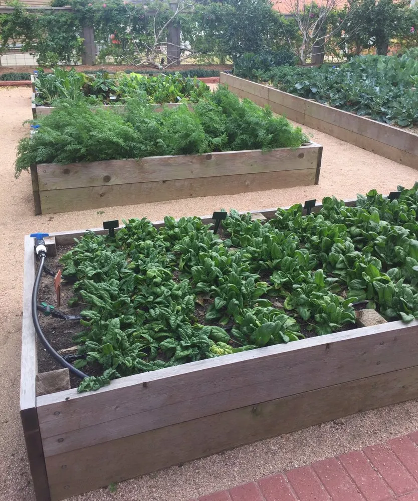 Top-rated landscaping services experts serving Houston, TX - Topiary and Garden