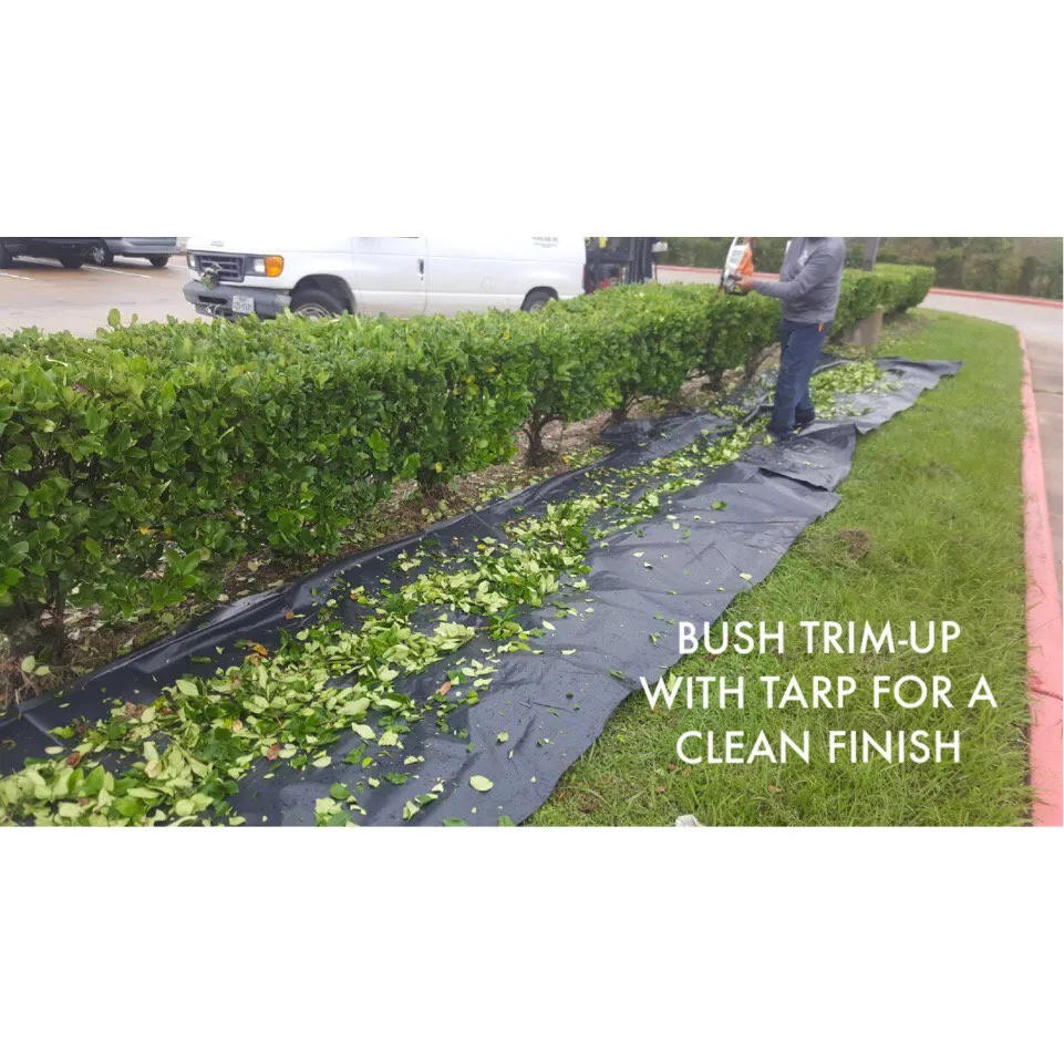 Professional landscape design experts serving Houston, TX - Topiary and Garden