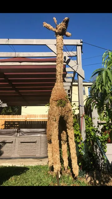 Reliable lawn care service near you in Houston, TX by Topiary and Garden