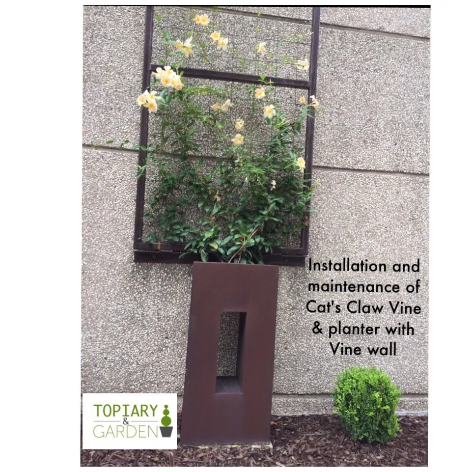 Affordable outdoor landscaping experts serving Houston, TX - Topiary and Garden