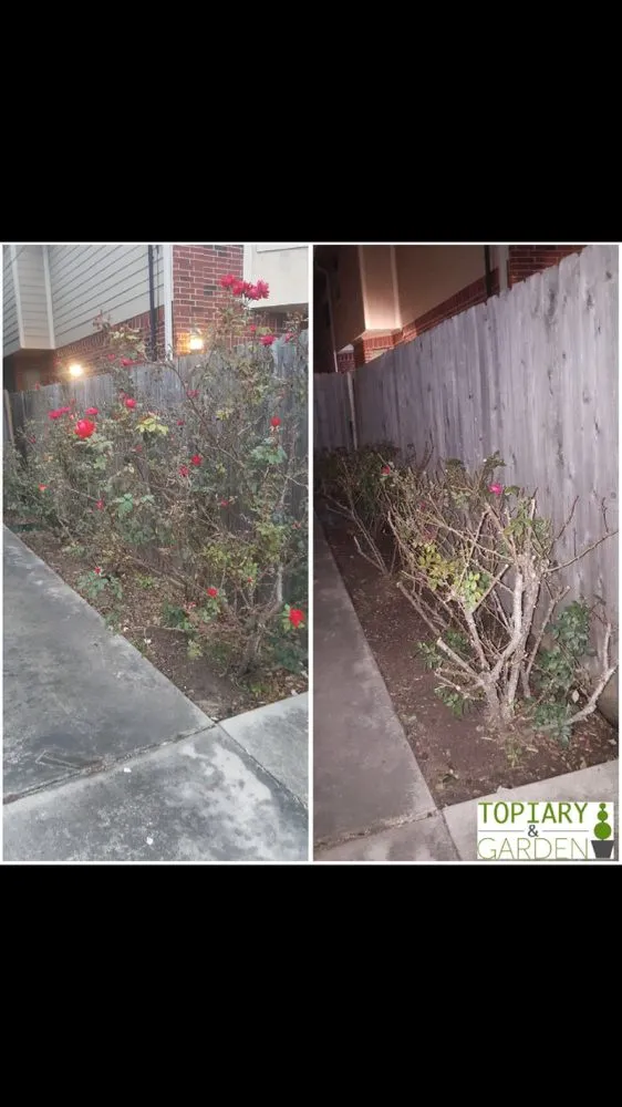 Top-rated lawn mowing service experts serving Houston, TX - Topiary and Garden