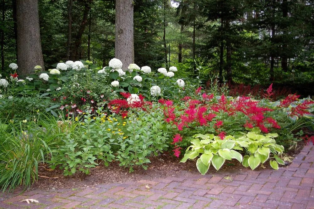 Expert garden landscaping experts serving Minneapolis, MN - Topiary Garden Works