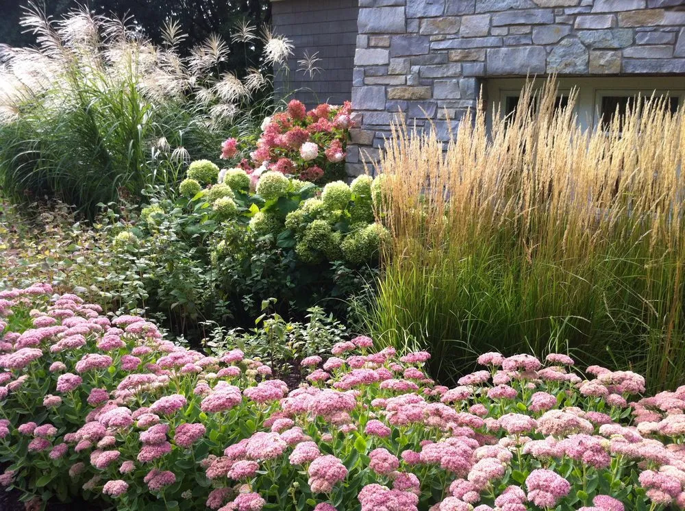 Top-rated landscape design in Minneapolis, MN - Topiary Garden Works