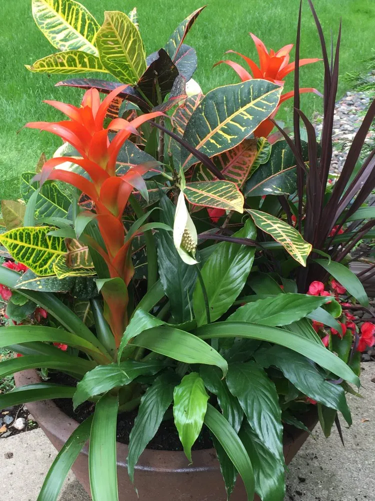 Top-rated outdoor landscaping in Minneapolis, MN by Topiary Garden Works