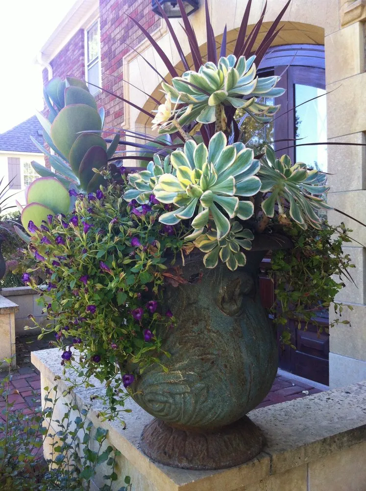 Expert landscaping services for residential properties across Minneapolis, MN - Topiary Garden Works