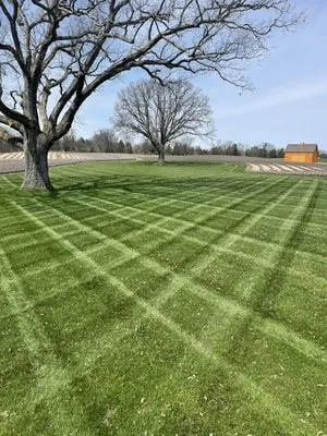 Topio Land Services Logo