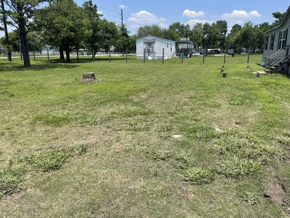 Local lawn care service for beautiful yards across Rosenberg, TX - TopLawns