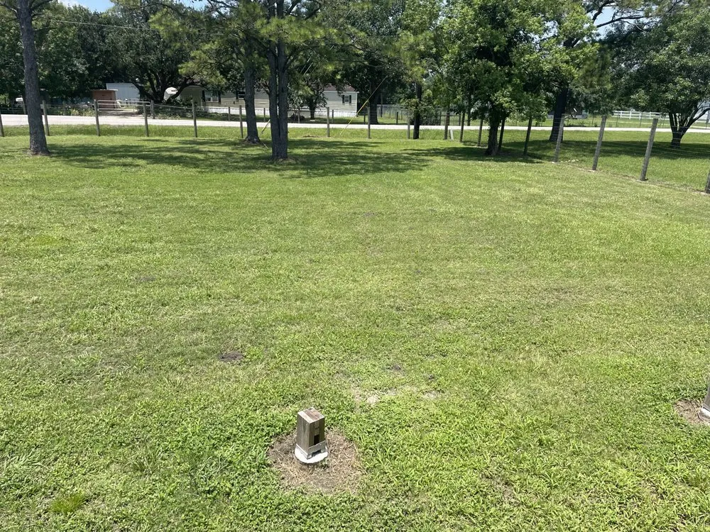 Expert outdoor landscaping in Rosenberg, TX by TopLawns