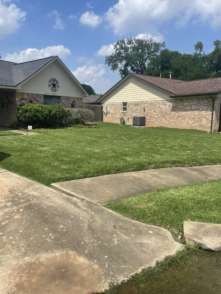 Affordable landscape installation with custom design across Rosenberg, TX - TopLawns