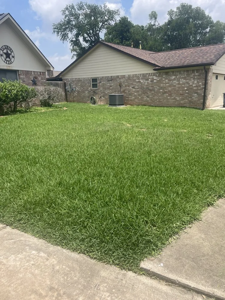 Expert residential landscaping with custom design across Rosenberg, TX - TopLawns