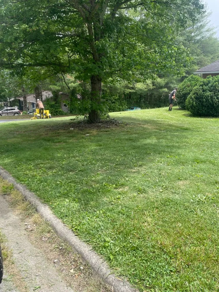 Expert landscaping services experts serving Asheville, NC - TopLine